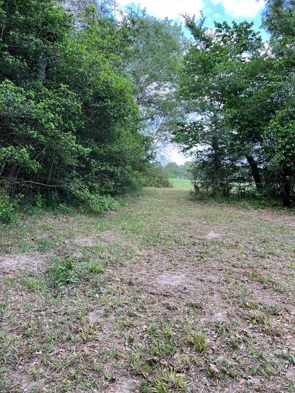 Tract 6 Reagan Reserve, Magnolia, Texas 77354, ,Lots,For Sale,Reagan Reserve,13606093