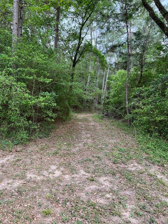 Tract 6 Reagan Reserve, Magnolia, Texas 77354, ,Lots,For Sale,Reagan Reserve,13606093