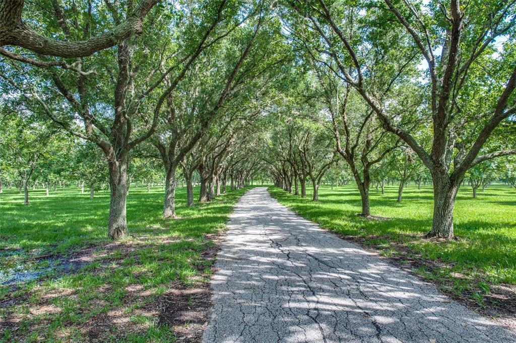 31736 1 Fm 1301, West Columbia, Texas 77486, 2 Bedrooms Bedrooms, 10 Rooms Rooms,3 BathroomsBathrooms,Country Homes/acreage,For Sale,Fm 1301,58783096