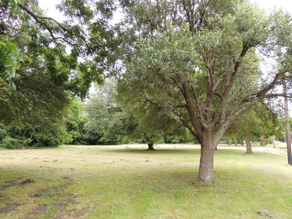 219 6th STREET, Magnolia, Texas 77355, ,Lots,For Sale,6th STREET,15050724