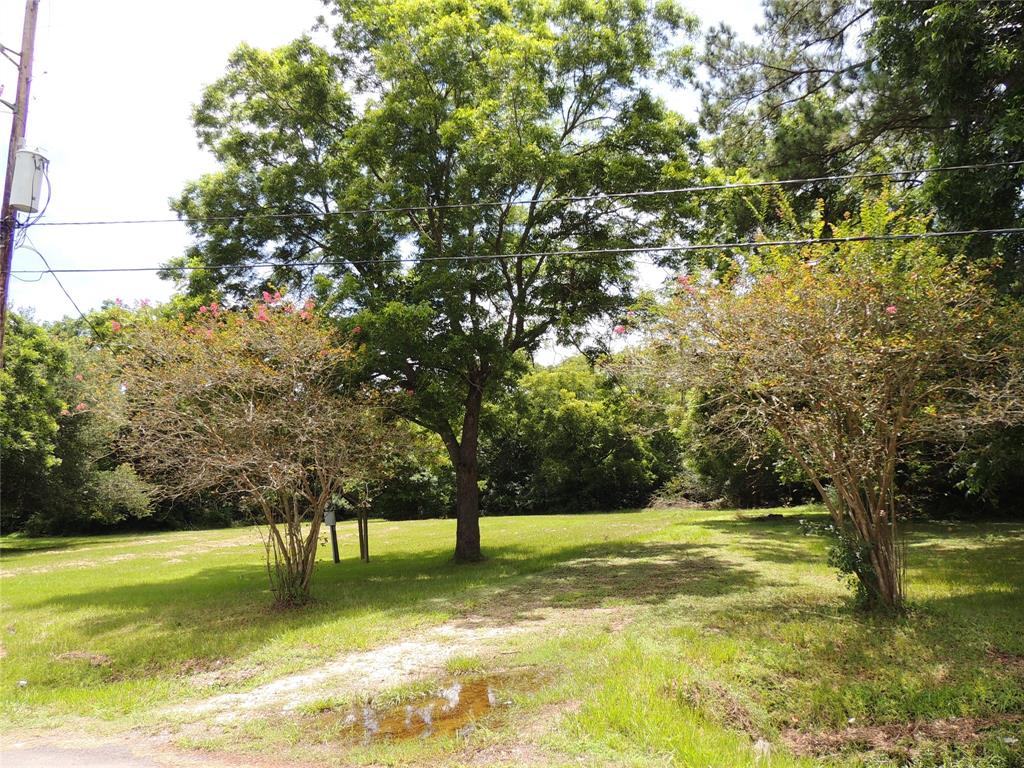 219 6th STREET, Magnolia, Texas 77355, ,Lots,For Sale,6th STREET,15050724