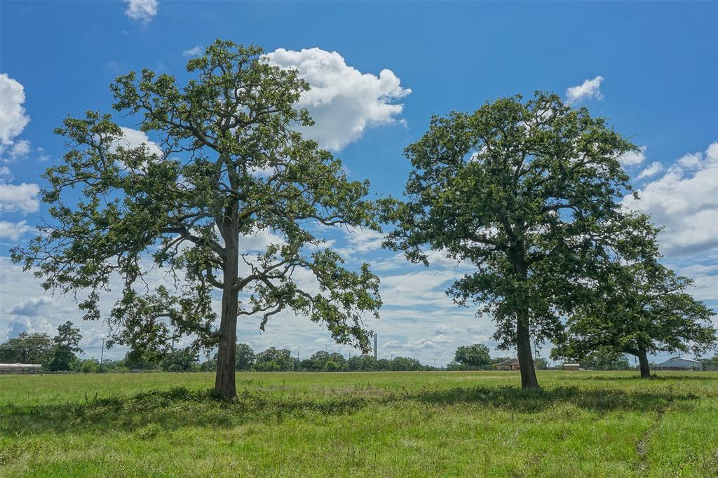 10.4 Acres HWY 21, North Zulch, TX 77872