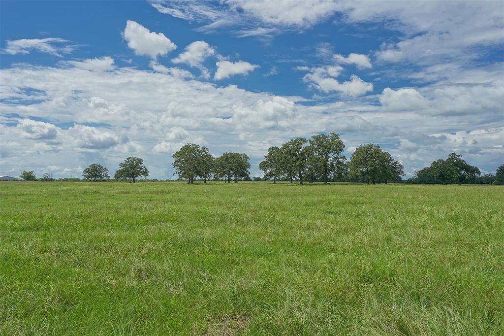 North Zulch, TX 77872,10.4 Acres HWY 21