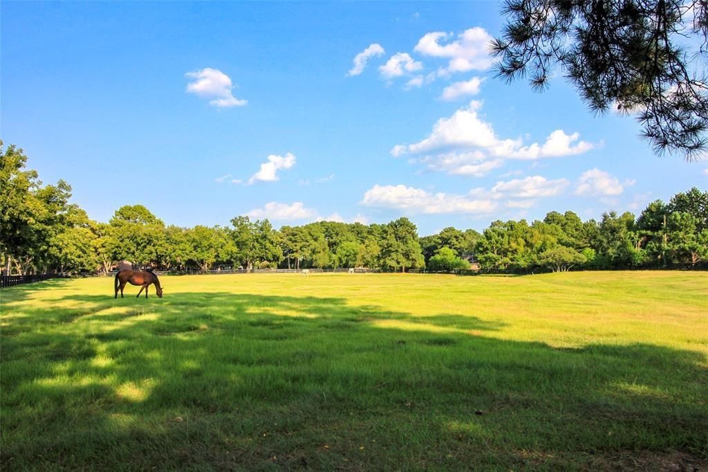 17020 2 Cypress Rosehill Road, Cypress, Texas 77429, 6 Bedrooms Bedrooms, 17 Rooms Rooms,6 BathroomsBathrooms,Single-family,For Sale,Cypress Rosehill,49598662