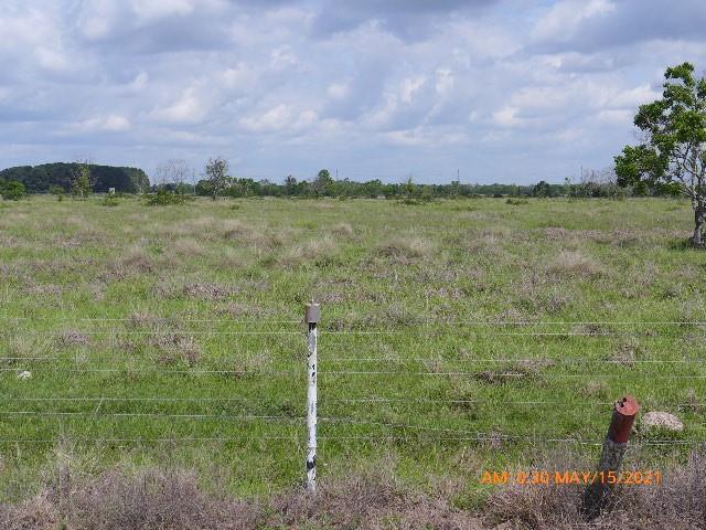 Needville, TX 77461,TBD3 Hughes RD