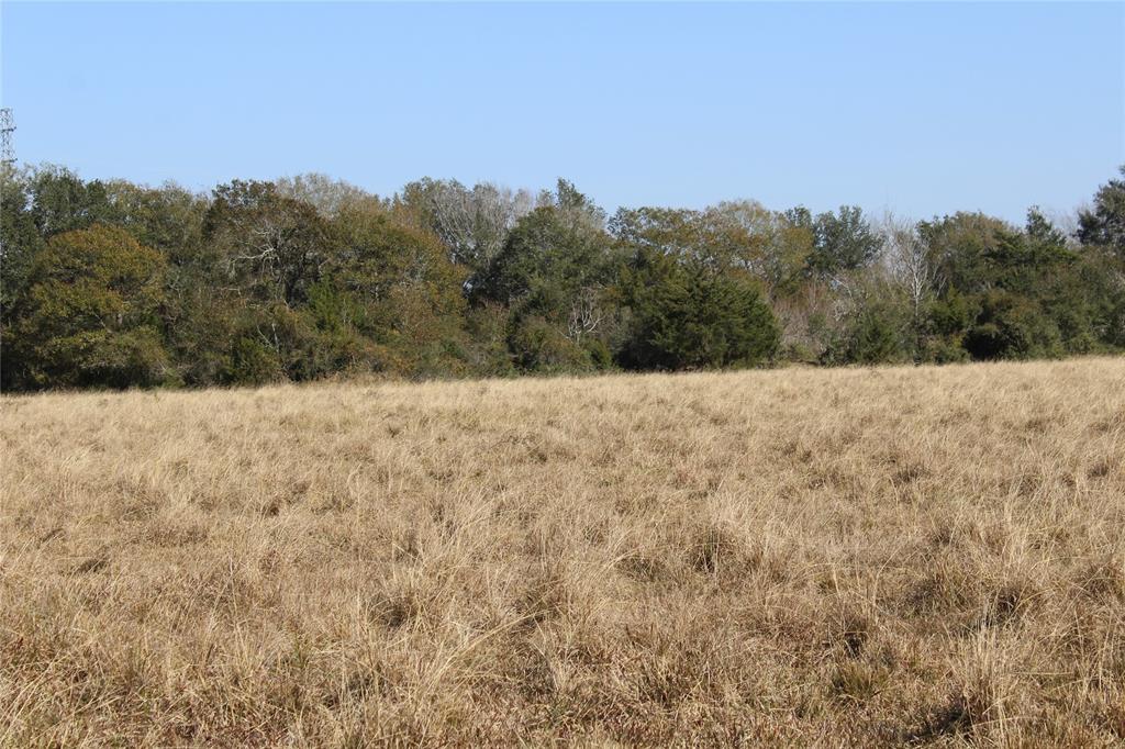 5603 FM 2917 Road, Alvin, Texas 77511, ,Country Homes/acreage,For Sale,FM 2917,7674479