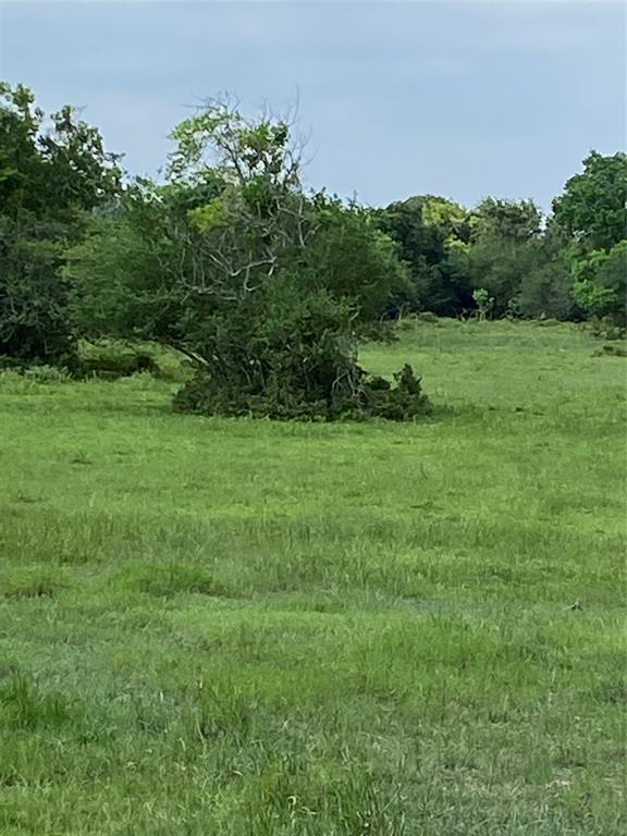 8300 Belcher Road, Manvel, Texas 77578, ,Country Homes/acreage,For Sale,Belcher,85262658