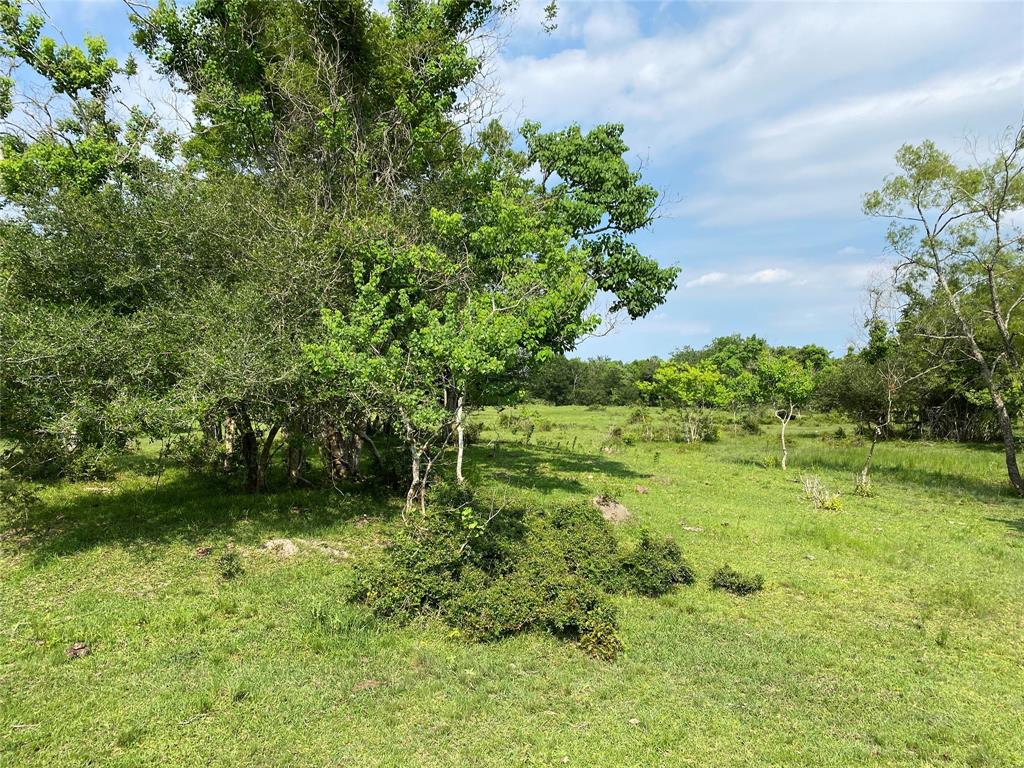 8300 Belcher Road, Manvel, Texas 77578, ,Country Homes/acreage,For Sale,Belcher,85262658
