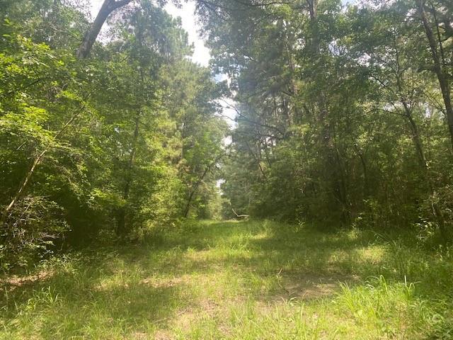 24 Lindley Survey Abstract, Willis, Texas 77318, ,Country Homes/acreage,For Sale,Lindley Survey Abstract,93490950