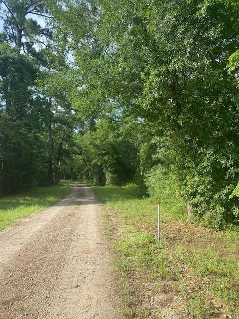 24 Lindley Survey Abstract, Willis, Texas 77318, ,Country Homes/acreage,For Sale,Lindley Survey Abstract,93490950