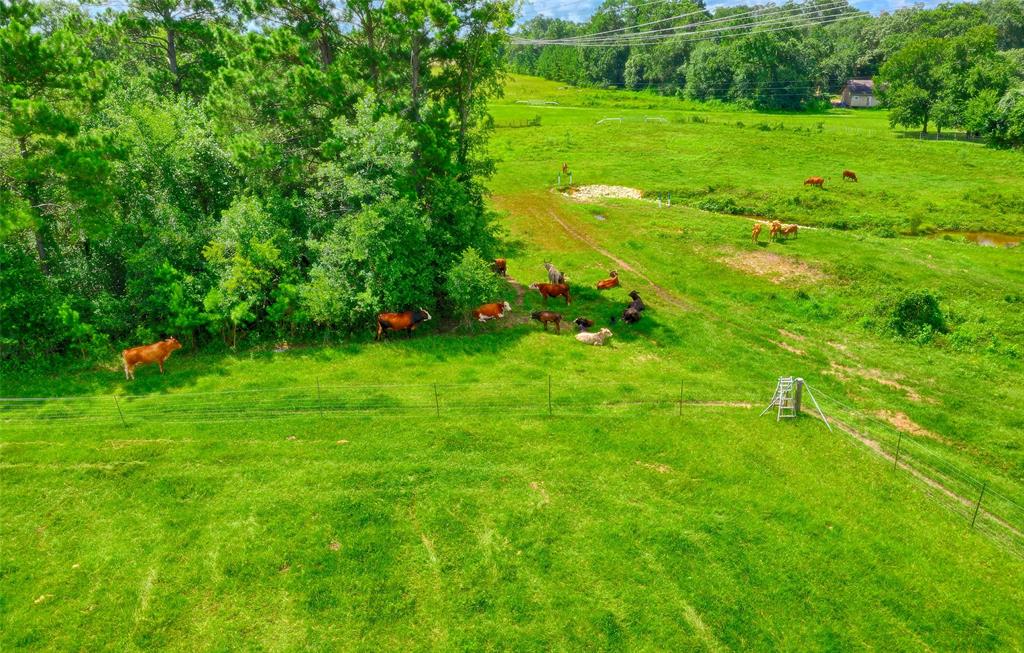 2960 North Mt Mariah Rd Road, Montgomery, Texas 77356, ,Country Homes/acreage,For Sale,North Mt Mariah Rd,61085400