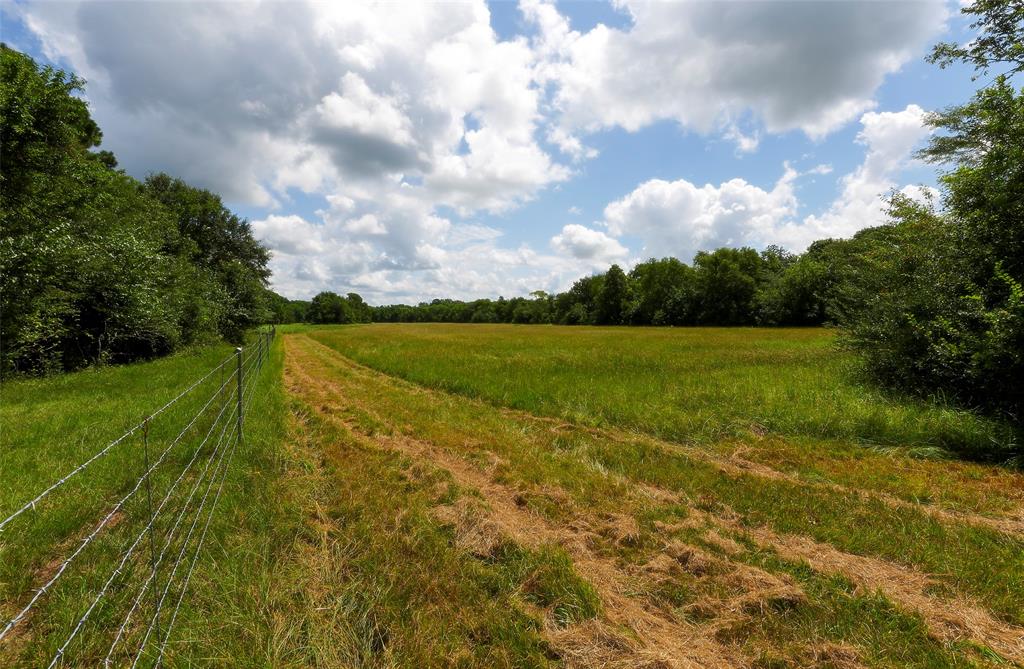 2960 North Mt Mariah Rd Road, Montgomery, Texas 77356, ,Country Homes/acreage,For Sale,North Mt Mariah Rd,61085400