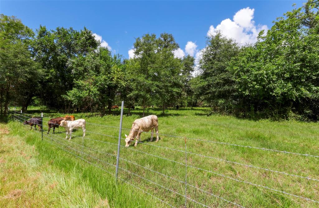 2960 North Mt Mariah Rd Road, Montgomery, Texas 77356, ,Country Homes/acreage,For Sale,North Mt Mariah Rd,61085400