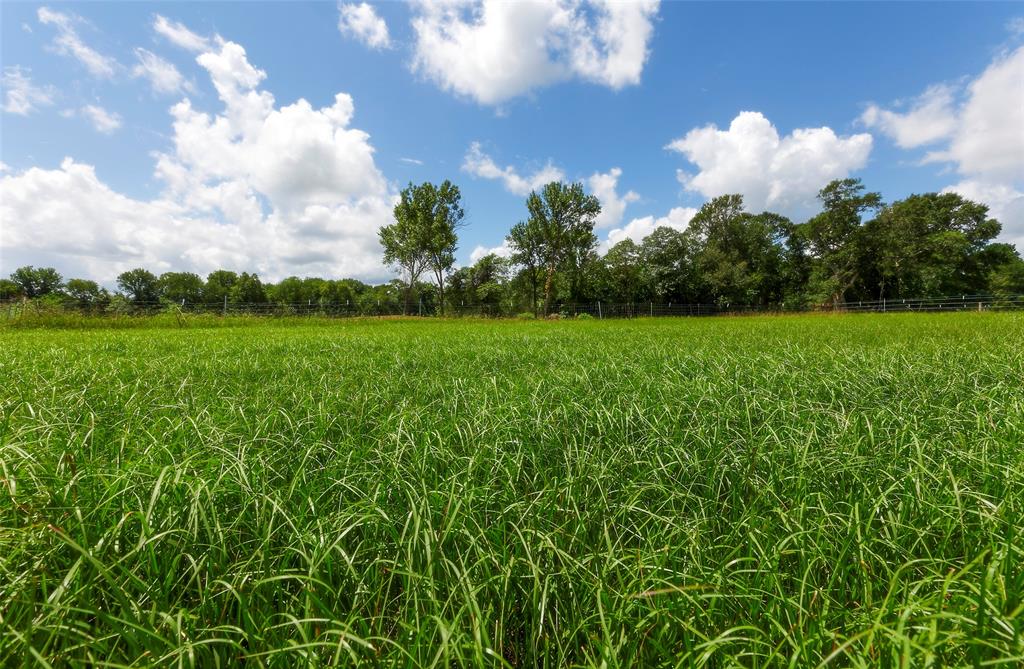 2960 North Mt Mariah Rd Road, Montgomery, Texas 77356, ,Country Homes/acreage,For Sale,North Mt Mariah Rd,61085400