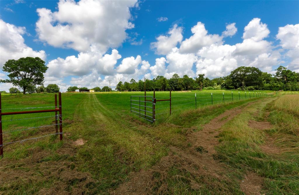 2960 North Mt Mariah Rd Road, Montgomery, Texas 77356, ,Country Homes/acreage,For Sale,North Mt Mariah Rd,61085400