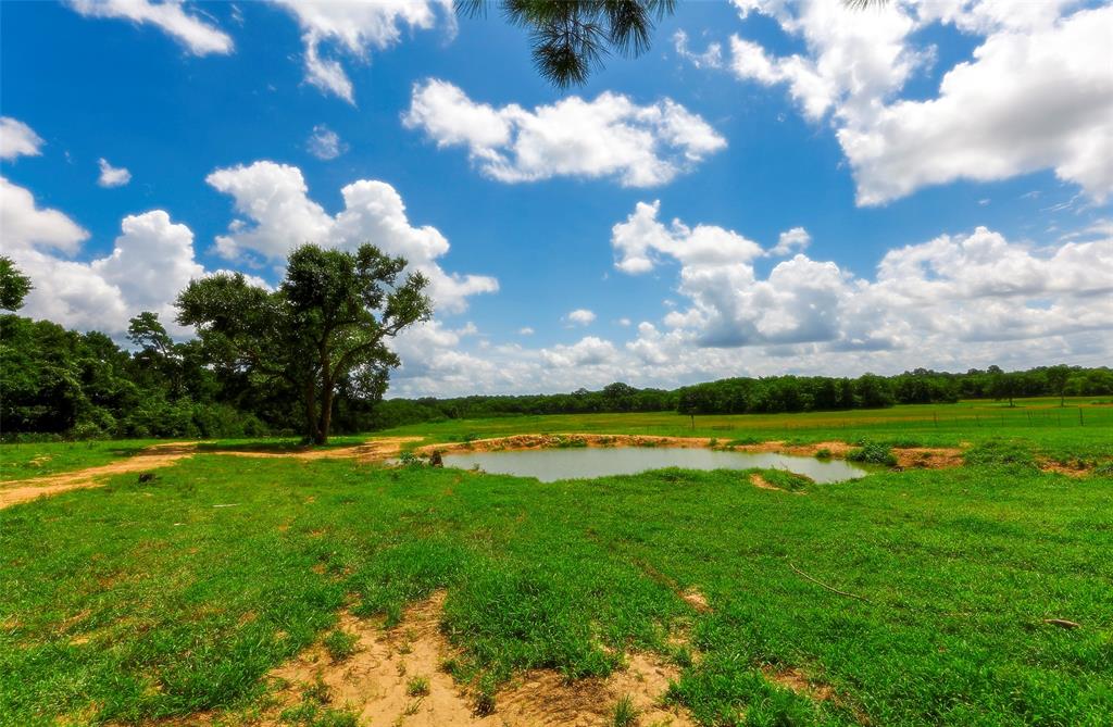 2960 North Mt Mariah Rd Road, Montgomery, Texas 77356, ,Country Homes/acreage,For Sale,North Mt Mariah Rd,61085400