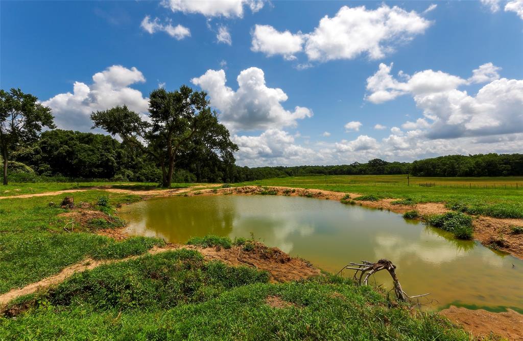 2960 North Mt Mariah Rd Road, Montgomery, Texas 77356, ,Country Homes/acreage,For Sale,North Mt Mariah Rd,61085400
