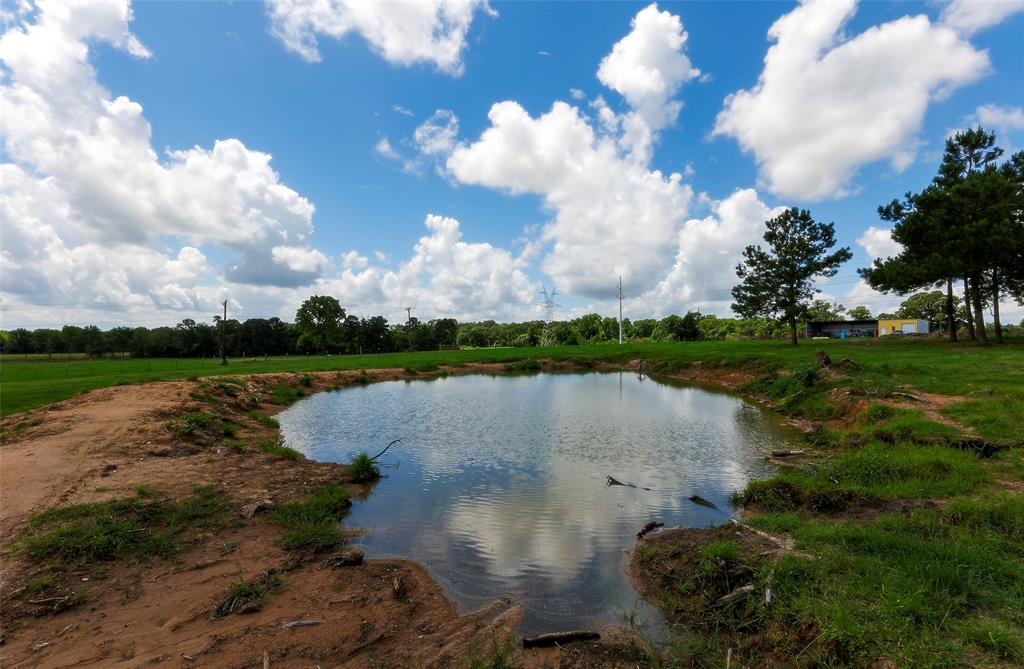 2960 North Mt Mariah Rd Road, Montgomery, Texas 77356, ,Country Homes/acreage,For Sale,North Mt Mariah Rd,61085400