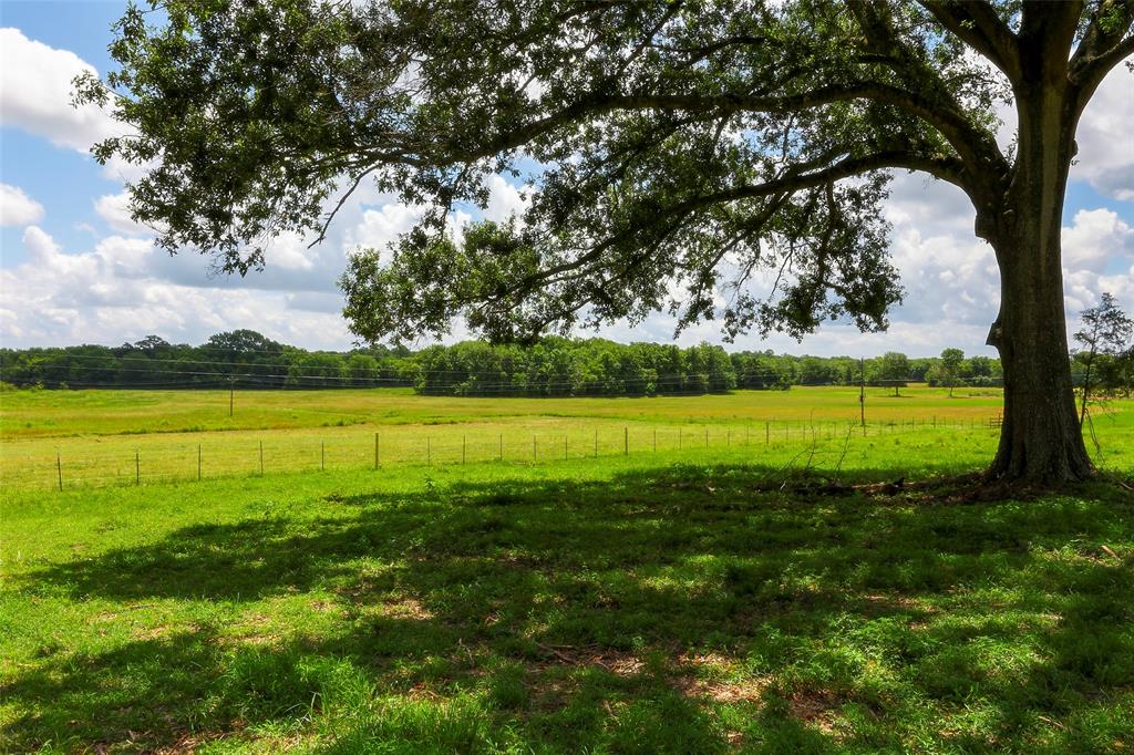 2960 North Mt Mariah Rd Road, Montgomery, Texas 77356, ,Country Homes/acreage,For Sale,North Mt Mariah Rd,61085400