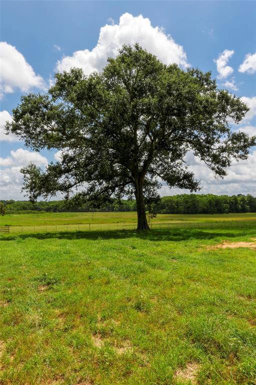 2960 North Mt Mariah Rd Road, Montgomery, Texas 77356, ,Country Homes/acreage,For Sale,North Mt Mariah Rd,61085400
