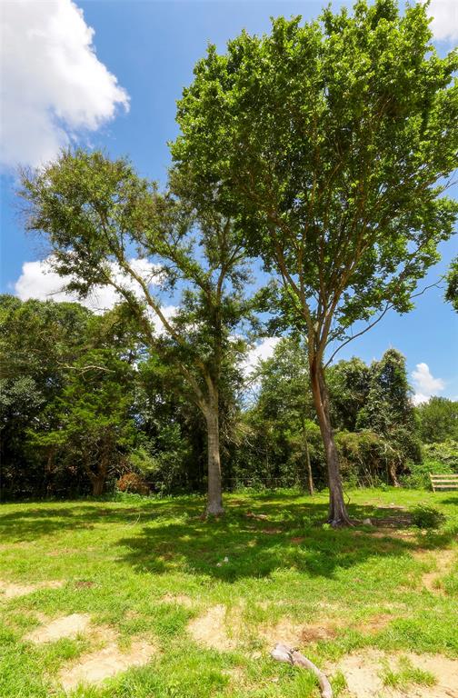 2960 North Mt Mariah Rd Road, Montgomery, Texas 77356, ,Country Homes/acreage,For Sale,North Mt Mariah Rd,61085400