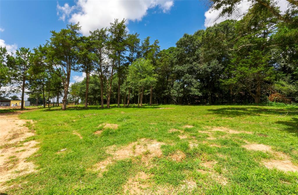 2960 North Mt Mariah Rd Road, Montgomery, Texas 77356, ,Country Homes/acreage,For Sale,North Mt Mariah Rd,61085400