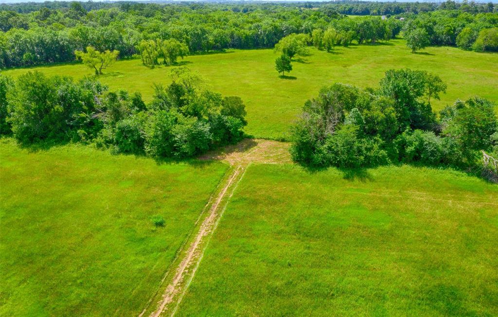2960 North Mt Mariah Rd Road, Montgomery, Texas 77356, ,Country Homes/acreage,For Sale,North Mt Mariah Rd,61085400