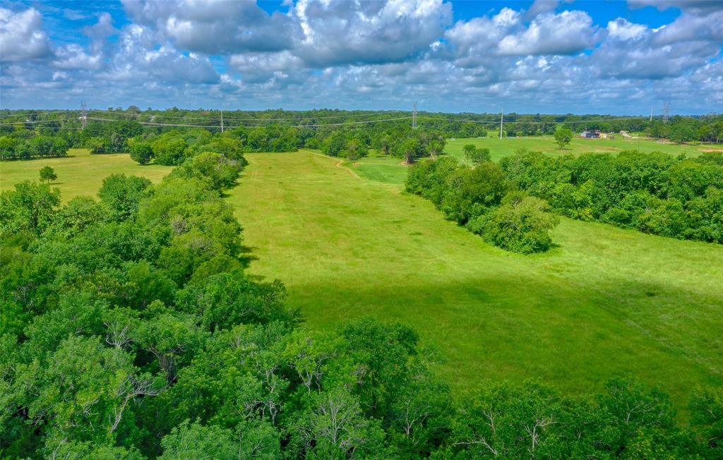 2960 North Mt Mariah Rd Road, Montgomery, Texas 77356, ,Country Homes/acreage,For Sale,North Mt Mariah Rd,61085400