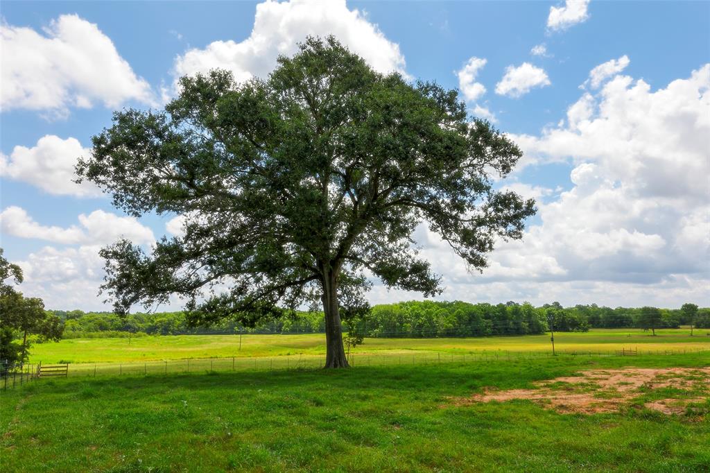 2960 North Mt Mariah Rd Road, Montgomery, Texas 77356, ,Country Homes/acreage,For Sale,North Mt Mariah Rd,61085400