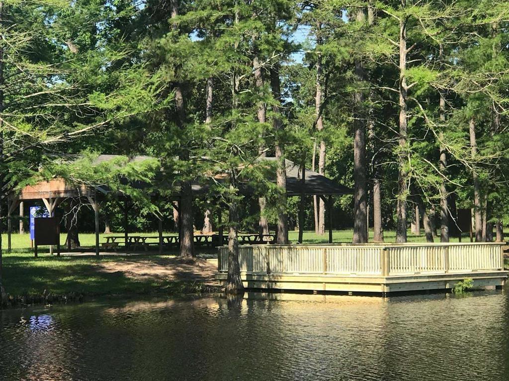 526 2 Bedias Creek Drive, Conroe, Texas 77304, 4 Bedrooms Bedrooms, 8 Rooms Rooms,4 BathroomsBathrooms,Single-family,For Sale,Bedias Creek,74371051