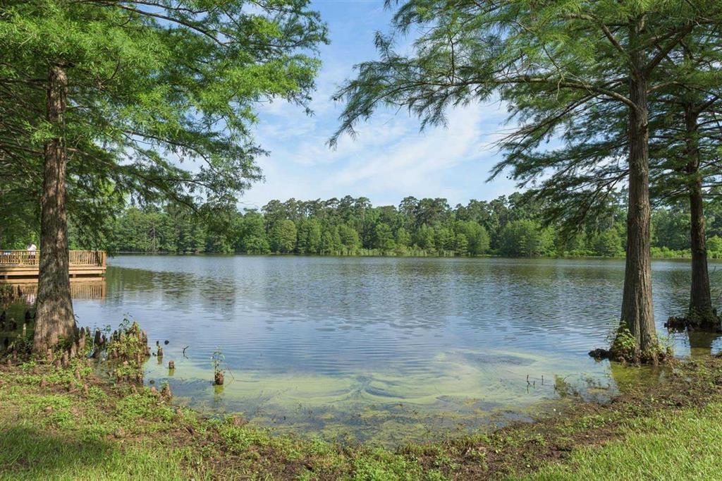 526 2 Bedias Creek Drive, Conroe, Texas 77304, 4 Bedrooms Bedrooms, 8 Rooms Rooms,4 BathroomsBathrooms,Single-family,For Sale,Bedias Creek,74371051