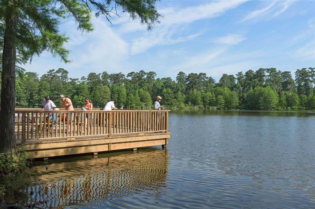 526 2 Bedias Creek Drive, Conroe, Texas 77304, 4 Bedrooms Bedrooms, 8 Rooms Rooms,4 BathroomsBathrooms,Single-family,For Sale,Bedias Creek,74371051