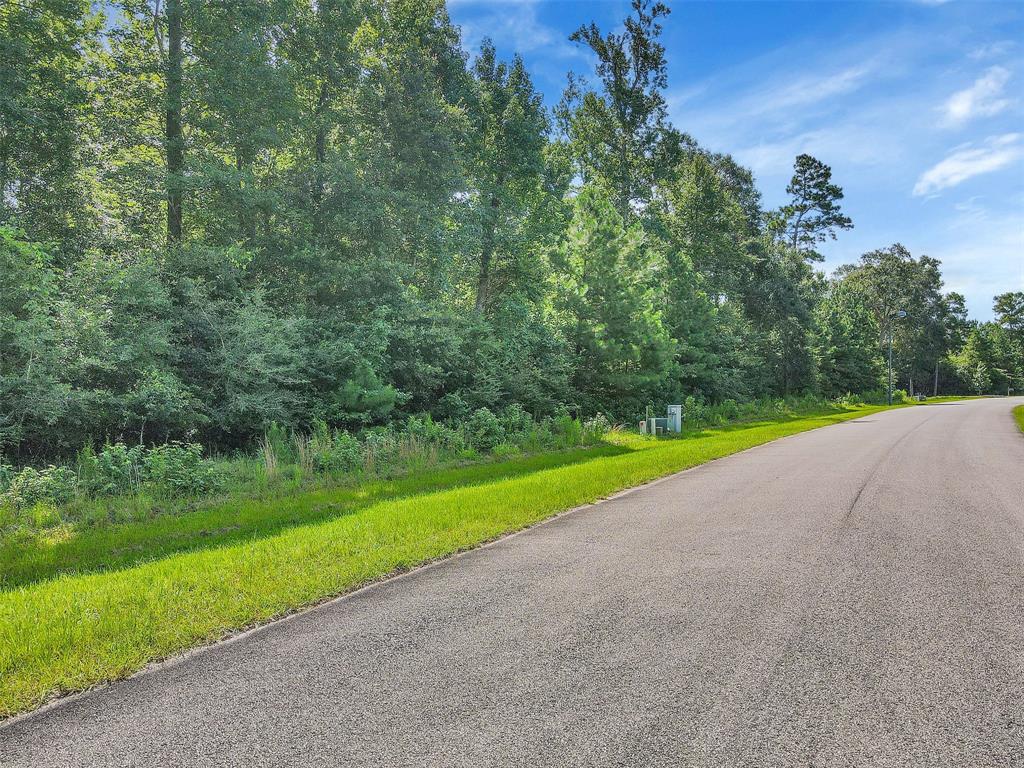 255 Skipper Jack, Montgomery, Texas 77316, ,Lots,For Sale,Skipper Jack,77757333