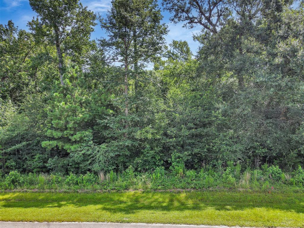 255 Skipper Jack, Montgomery, Texas 77316, ,Lots,For Sale,Skipper Jack,77757333