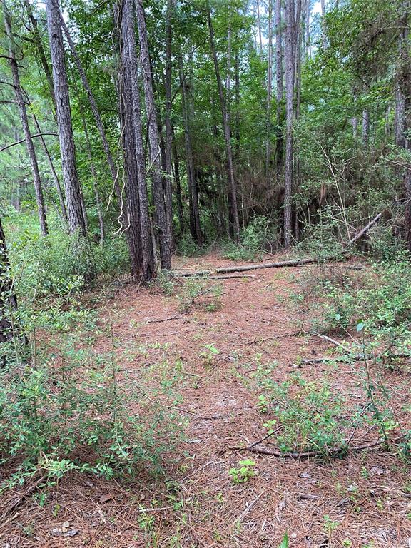 66 Beaver Lane LN, Huntsville, TX 77340