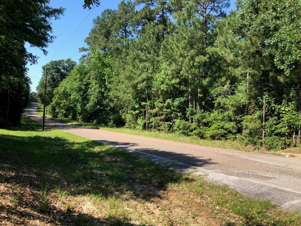 0 LAKE MOUNT PLEASANT Road, Montgomery, Texas 77356, ,Lots,For Sale,LAKE MOUNT PLEASANT,56220912