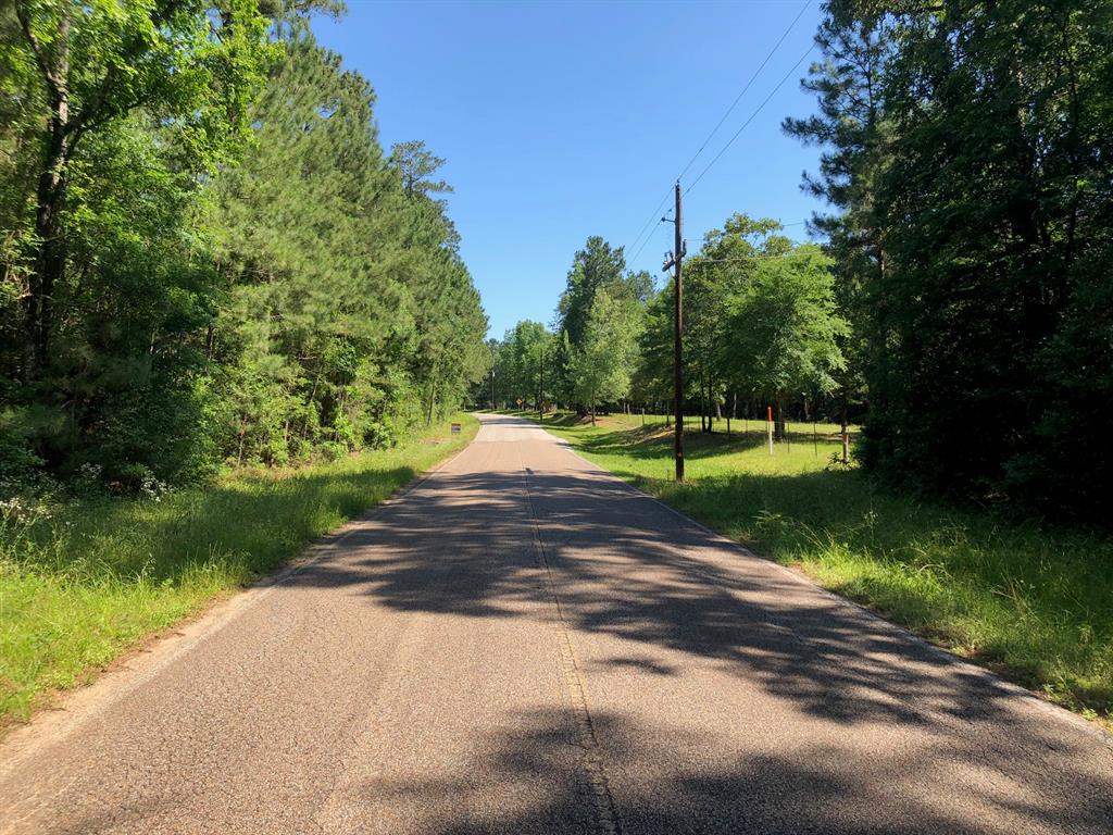 0 LAKE MOUNT PLEASANT Road, Montgomery, Texas 77356, ,Lots,For Sale,LAKE MOUNT PLEASANT,56220912
