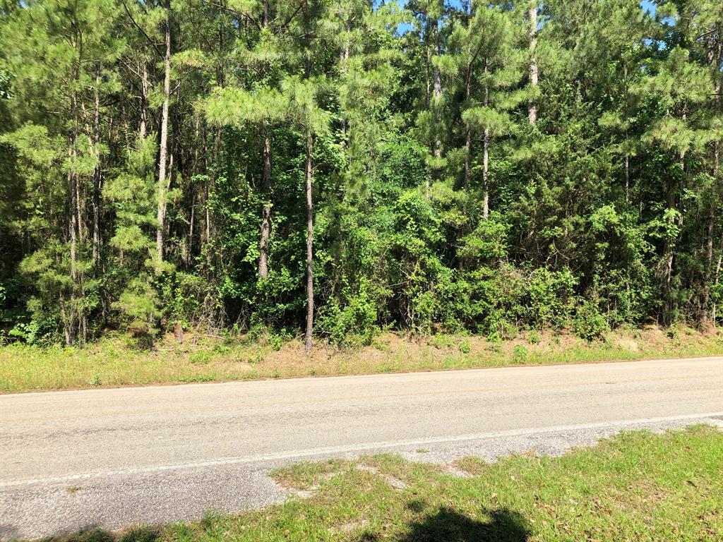 0 LAKE MOUNT PLEASANT Road, Montgomery, Texas 77356, ,Lots,For Sale,LAKE MOUNT PLEASANT,56220912