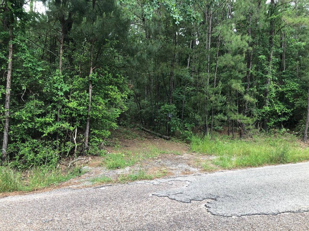 0 LAKE MOUNT PLEASANT Road, Montgomery, Texas 77356, ,Lots,For Sale,LAKE MOUNT PLEASANT,56220912