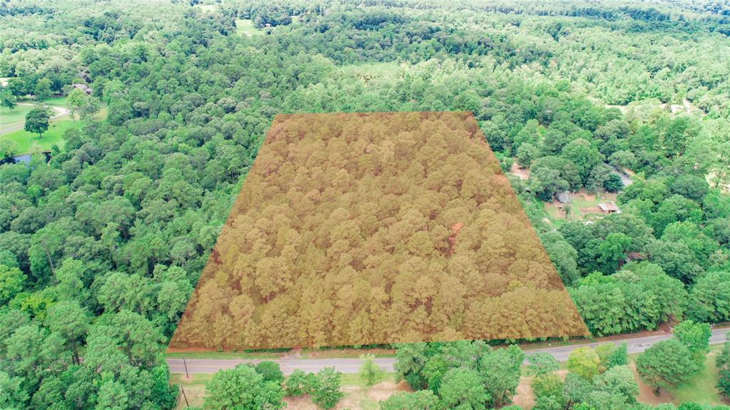 0 LAKE MOUNT PLEASANT Road, Montgomery, Texas 77356, ,Lots,For Sale,LAKE MOUNT PLEASANT,56220912