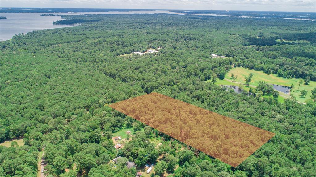 0 LAKE MOUNT PLEASANT Road, Montgomery, Texas 77356, ,Lots,For Sale,LAKE MOUNT PLEASANT,56220912