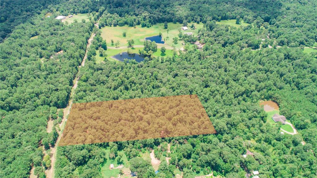 0 LAKE MOUNT PLEASANT Road, Montgomery, Texas 77356, ,Lots,For Sale,LAKE MOUNT PLEASANT,56220912