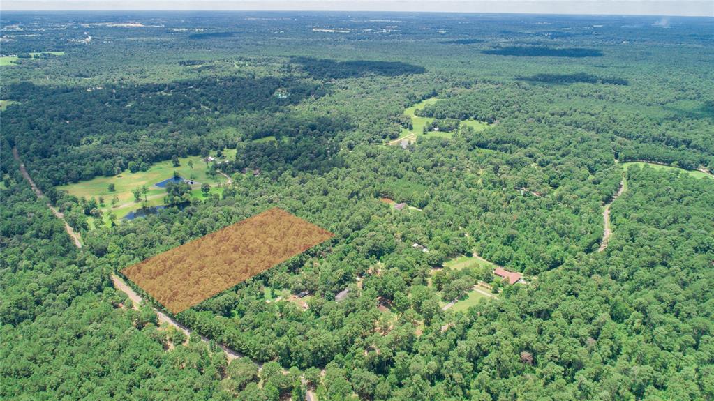 0 LAKE MOUNT PLEASANT Road, Montgomery, Texas 77356, ,Lots,For Sale,LAKE MOUNT PLEASANT,56220912