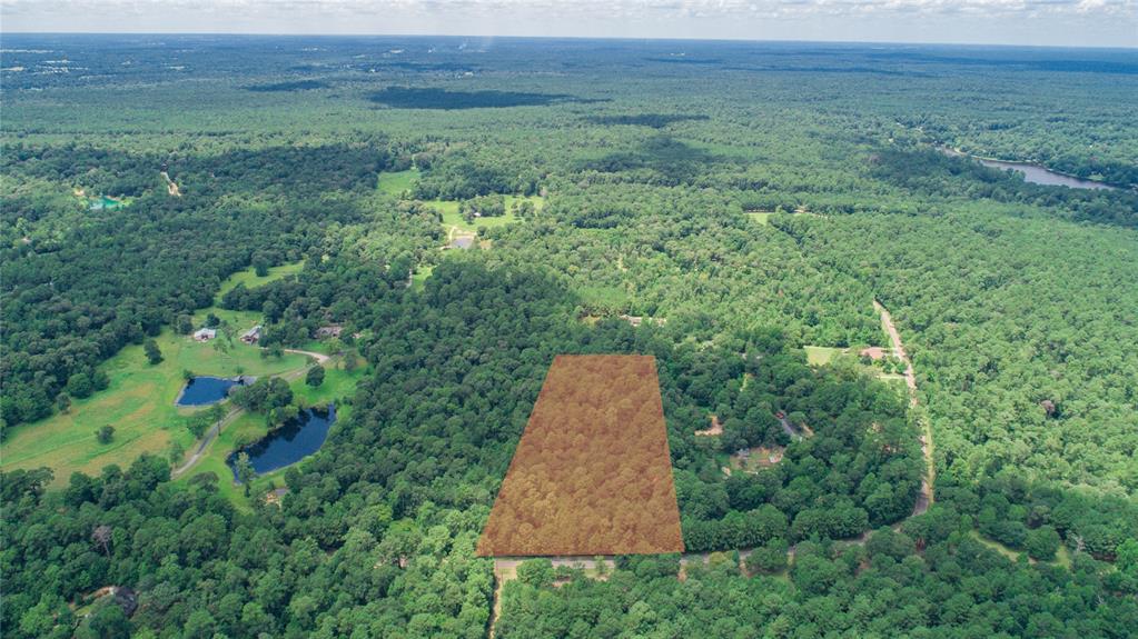 0 LAKE MOUNT PLEASANT Road, Montgomery, Texas 77356, ,Lots,For Sale,LAKE MOUNT PLEASANT,56220912