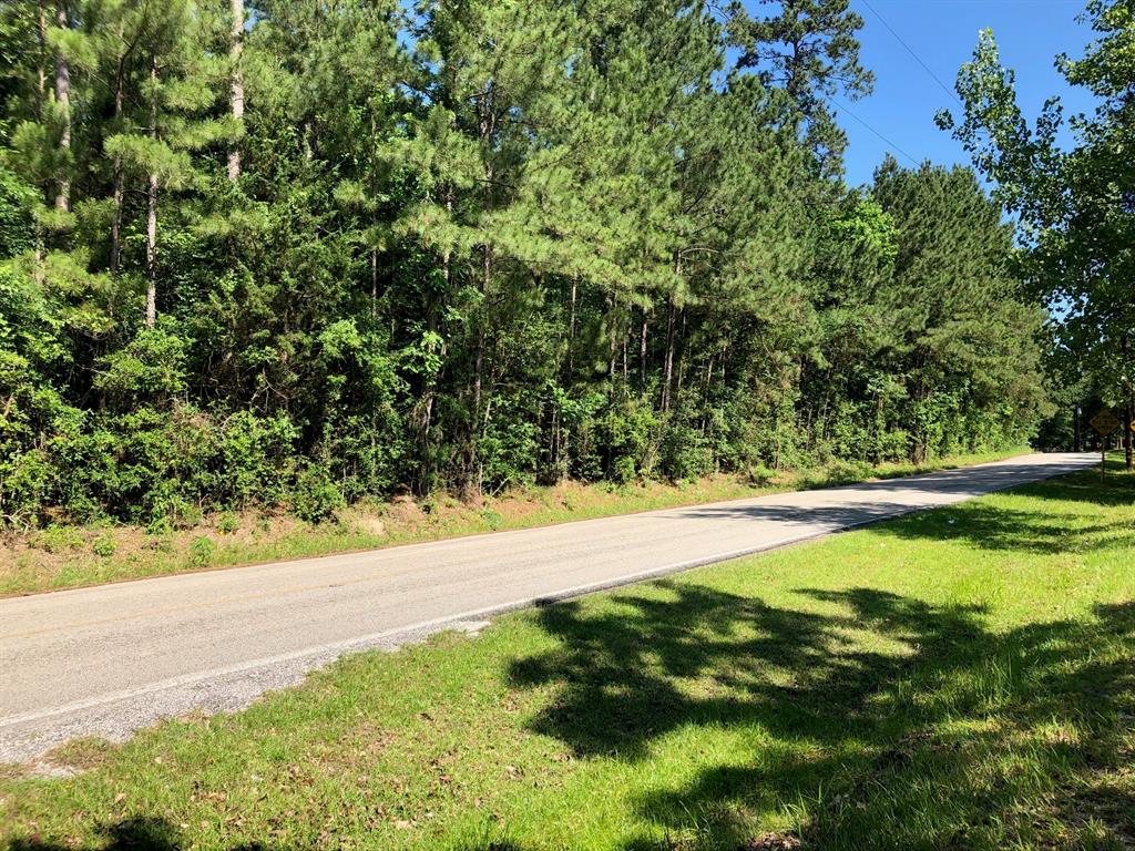 0 LAKE MOUNT PLEASANT Road, Montgomery, Texas 77356, ,Lots,For Sale,LAKE MOUNT PLEASANT,56220912