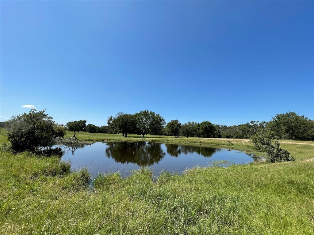 Buffalo, TX 75831,TBD Tract 3 HWY 75