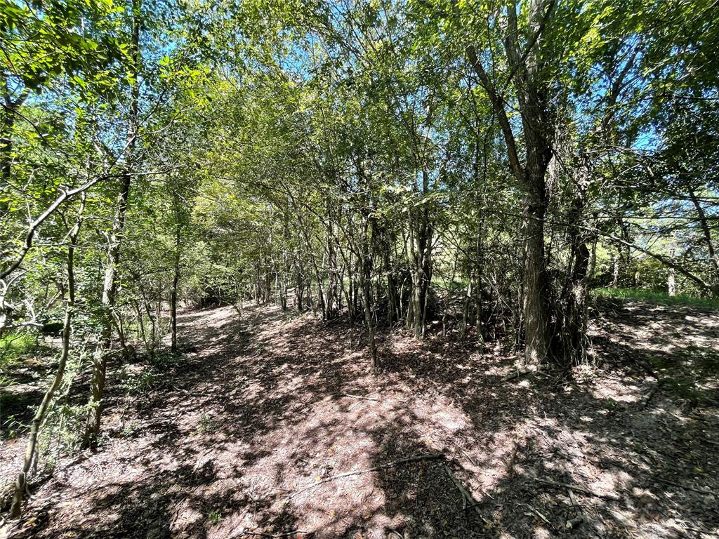 Buffalo, TX 75831,TBD Tract 3 HWY 75