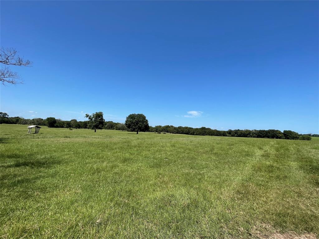 Buffalo, TX 75831,TBD Tract 3 HWY 75