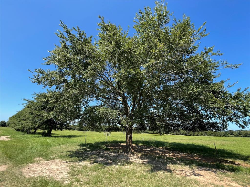 Buffalo, TX 75831,TBD Tract 3 HWY 75