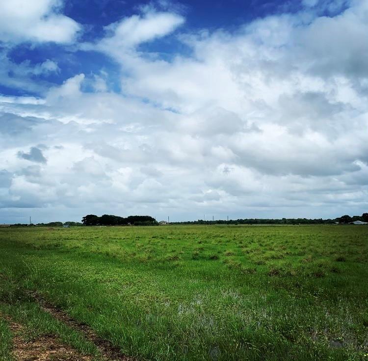 Needville, TX 77461,00000 Brumbelow RD